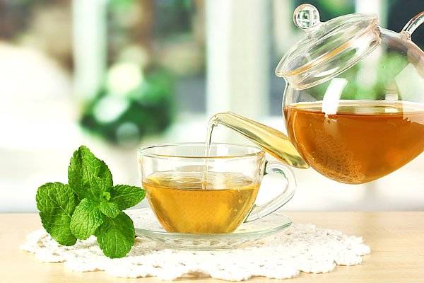 Плюсы и минусы мяты при грудном вскармливании: какой вид разрешен, польза, противопоказания и вред, как правильно пить мятный чай