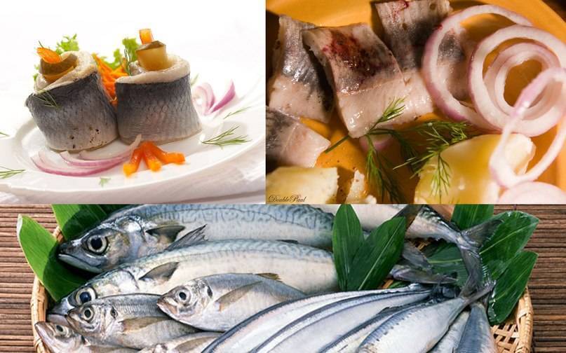 Какую рыбу можно кормящим мамам: селедка, семга, форель