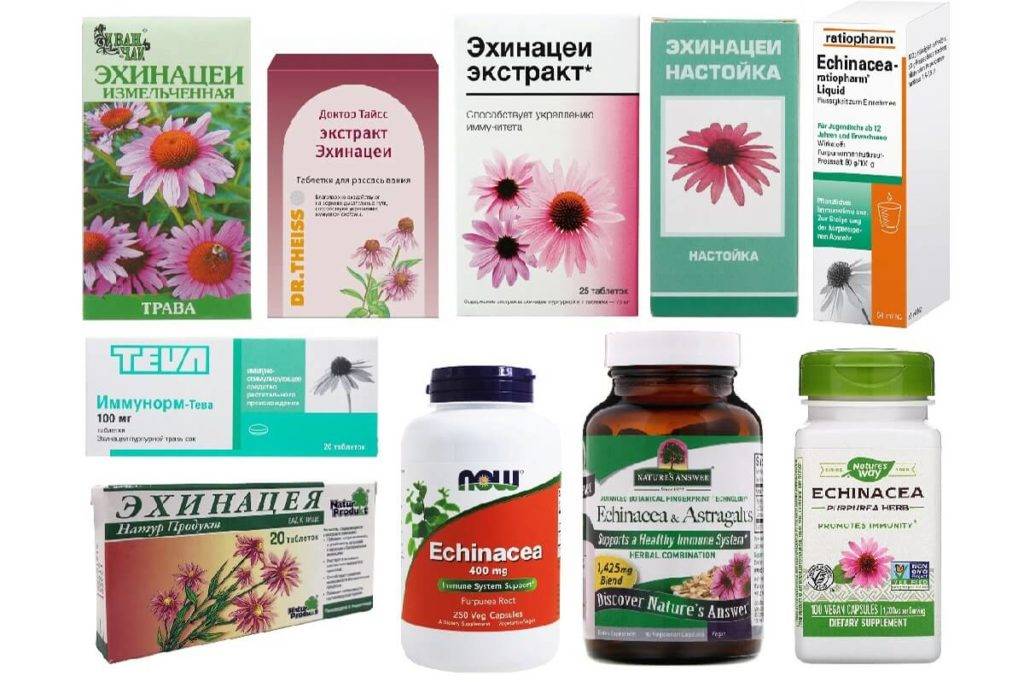 Эхинацея-галенофарм - инструкция по применению, описание, отзывы пациентов и врачей, аналоги