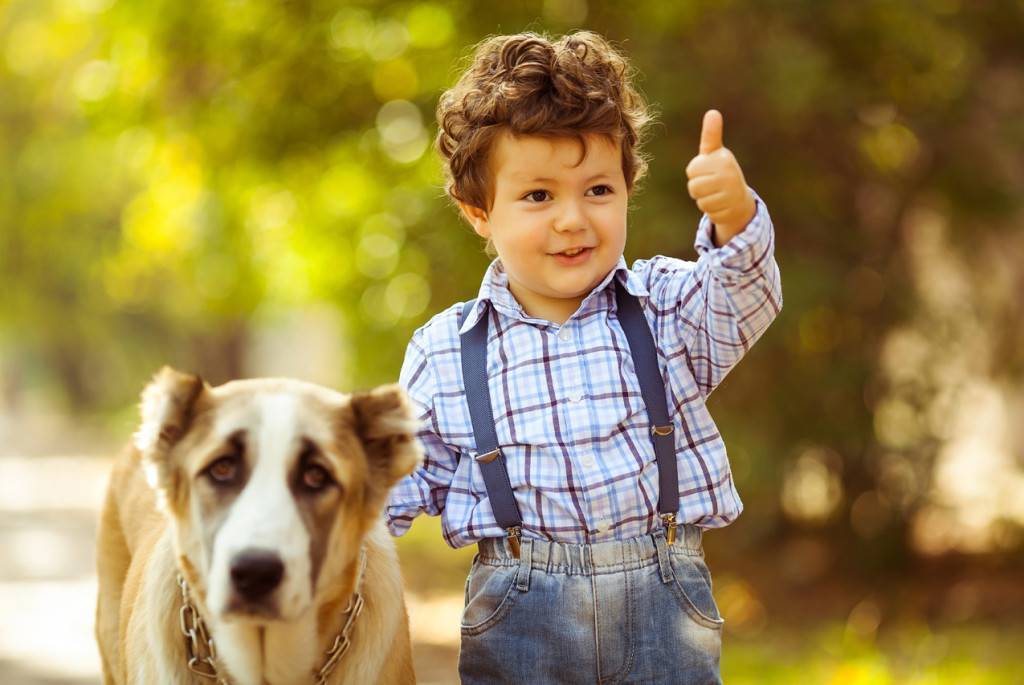 Стоит ли заводить собаку для ребенка: за и против | woofy dog