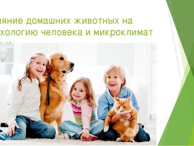 Домашние животные в жизни ребенка (консультация для родителей) - «дошколёнок.ру»