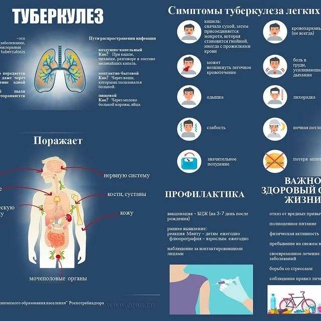 Туберкулез. симптомы, лечение и профилактика туберкулеза у детей