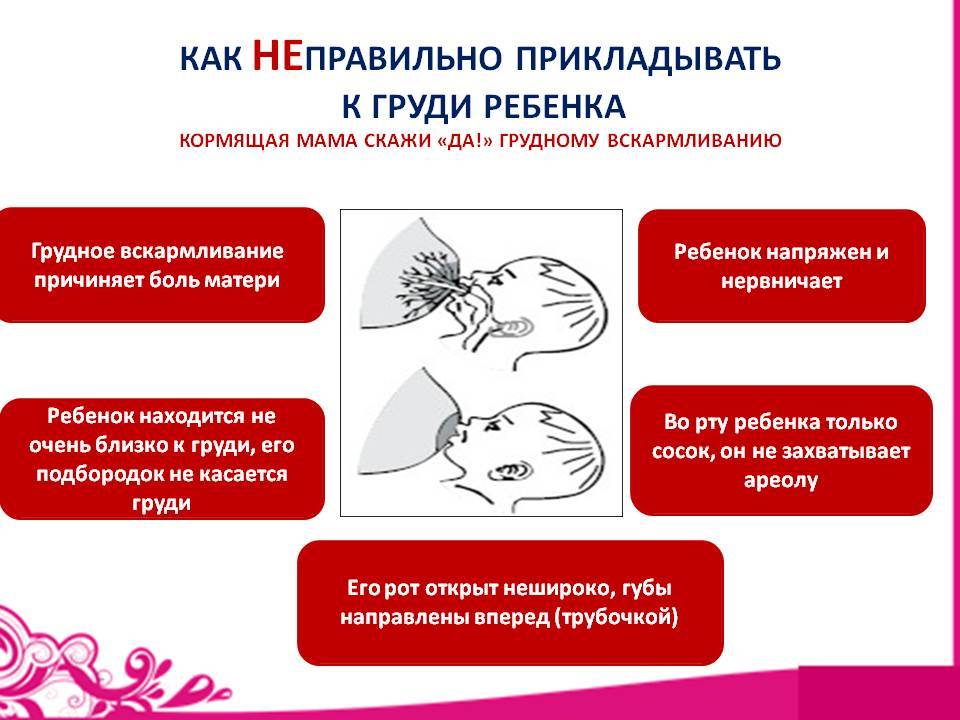 Поддержка грудного вскармливания - цена услуги, помощь при грудном вскармливании в москве - клиника «мать и дитя»