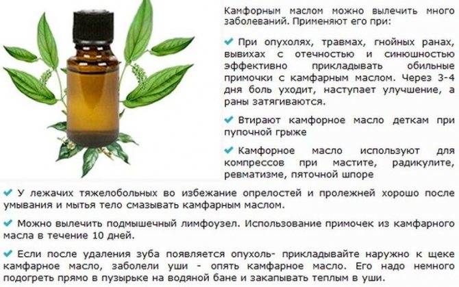 Грудной сбор №4