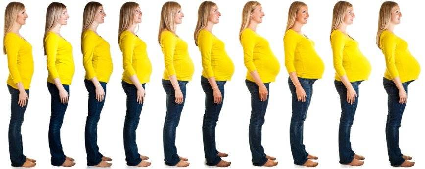 Когда начинает расти грудь при беременности и насколько она увеличивается?