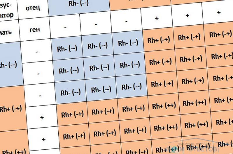 Отец 2 мать 3. Резус-фактор крови 4 отрицательная у ребенка. У отца и матери положительный резус крови. Первая отрицательная плюс вторая +. Резус фактор ребенка отец плюс.