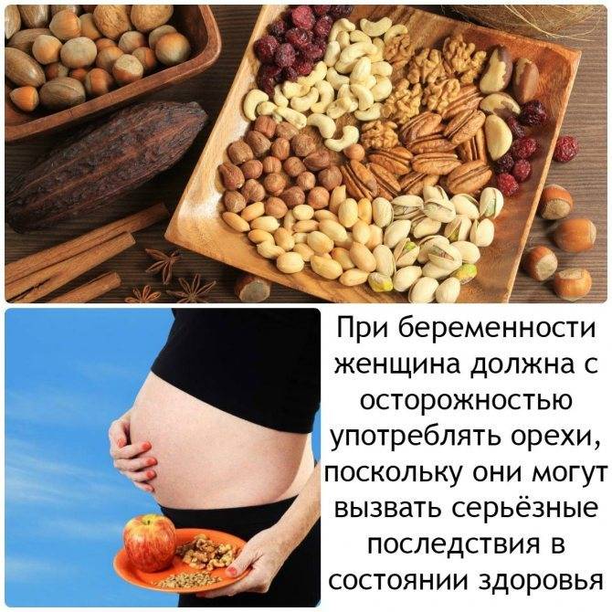 Орехи при беременности: можно ли есть, какие орехи самые полезные и в чем заключается их польза