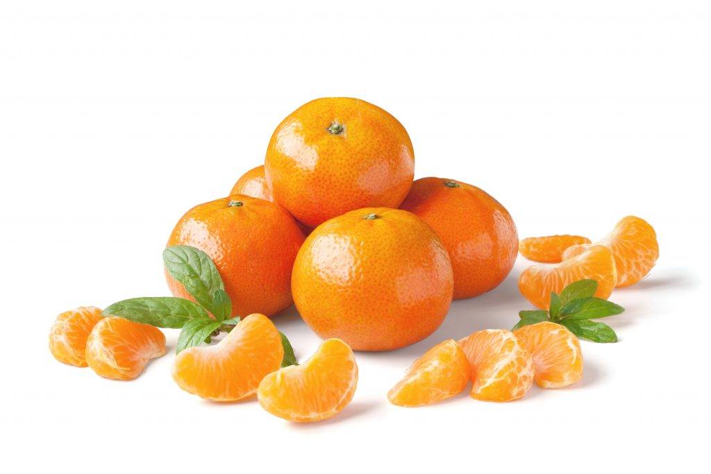Мандарин личный. Лепка мандарины и апельсины. Мандарин (фрукт). Мандарин на белом фоне. Мандарин Медовка.