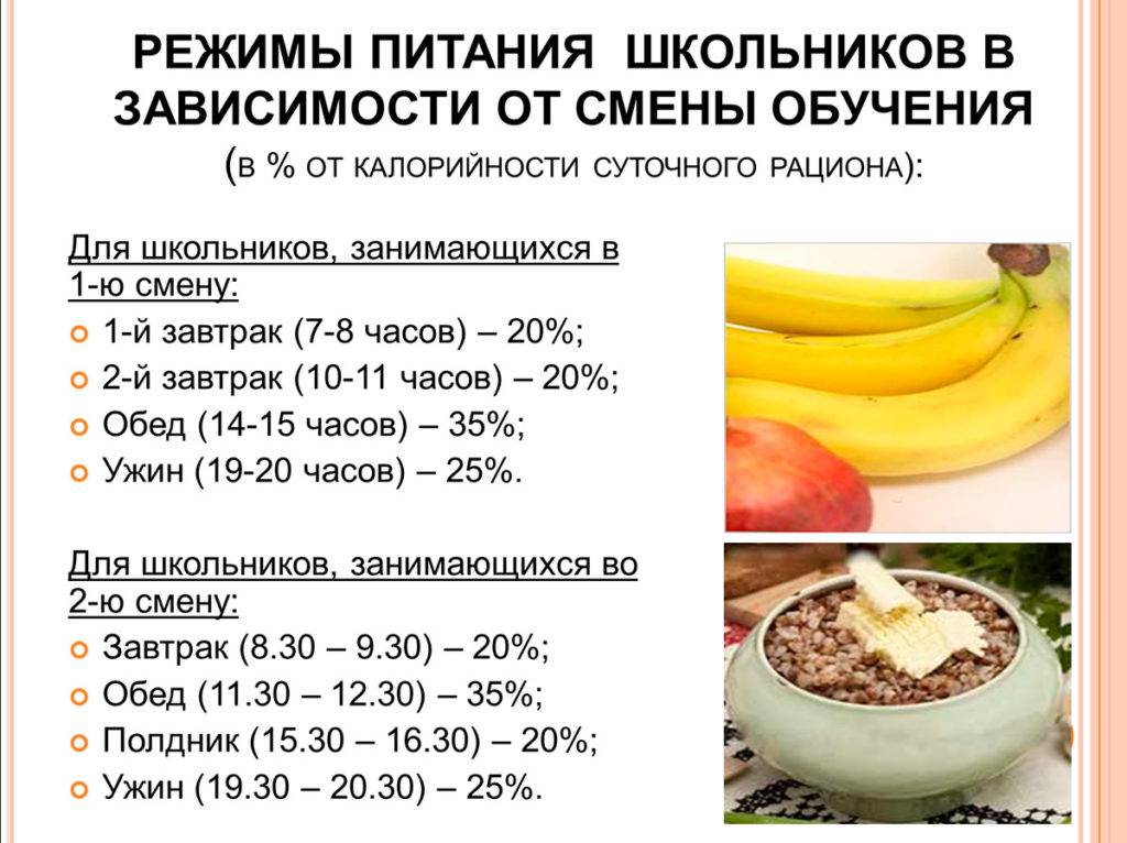 Режим питания: основные правила