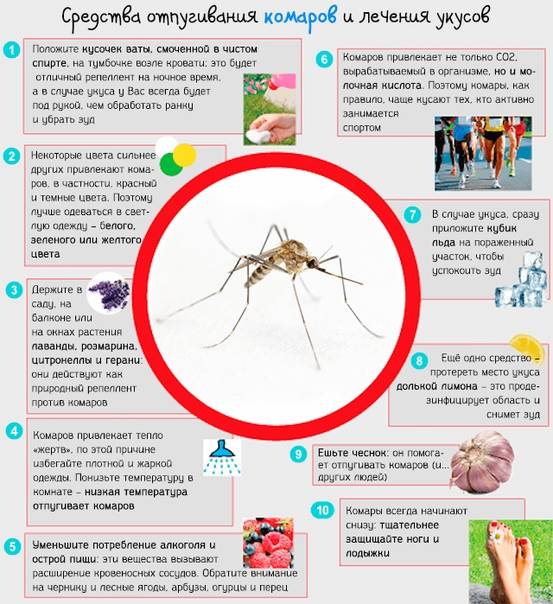 Чем мазать укусы комаров ребенку - бэбиблог