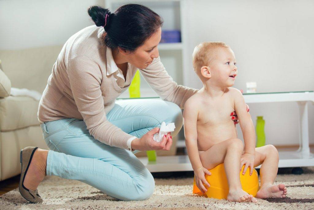 Как приучить ребенка к горшку за 7 дней по системе «довольный малыш»