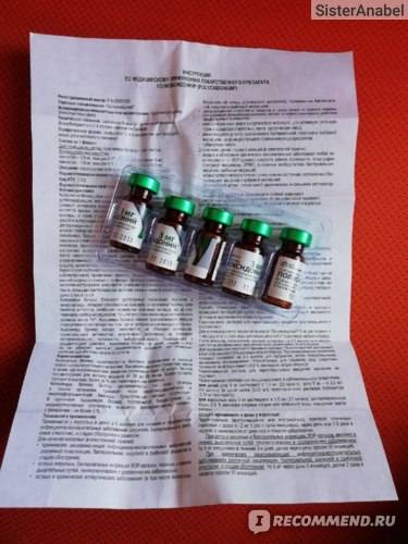 Полиоксидоний - инструкция по применению, описание, отзывы пациентов и врачей, аналоги