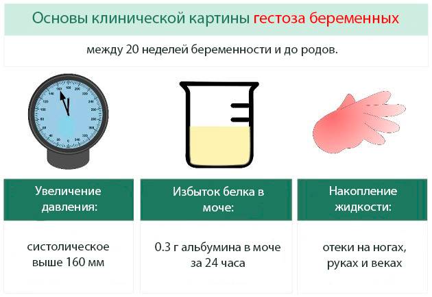 Анализ крови расшифровка у взрослых норма в таблице