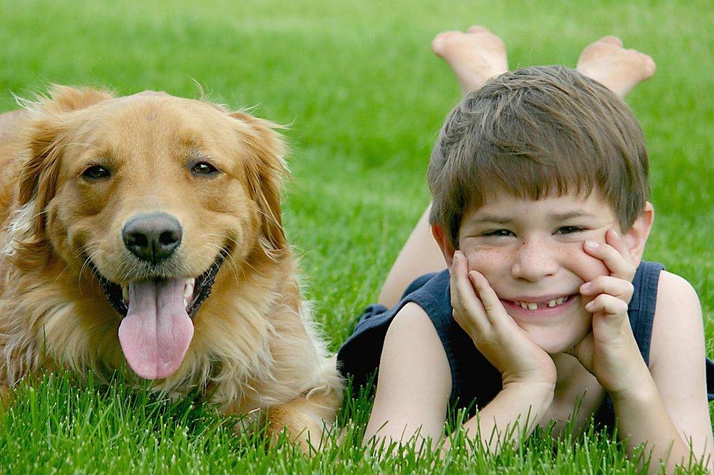 Как устранить агрессию собаки к детям | блог ветклиники "беланта"