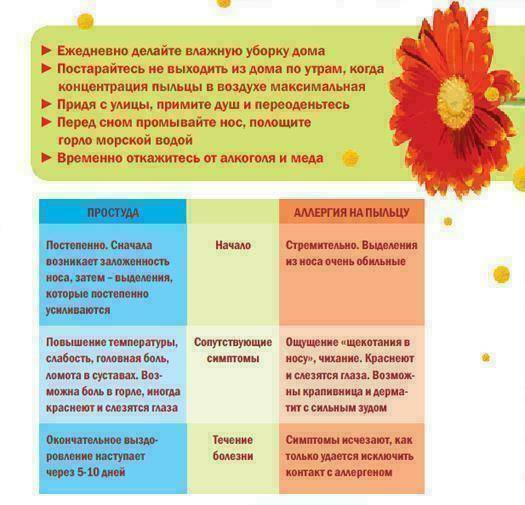 Карта пыльцу аллергия на пыльцу