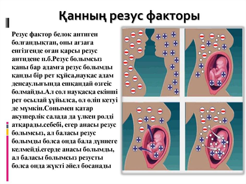 Отрицательный резус фактор при беременности последствия — 25 рекомендаций на babyblog.ru