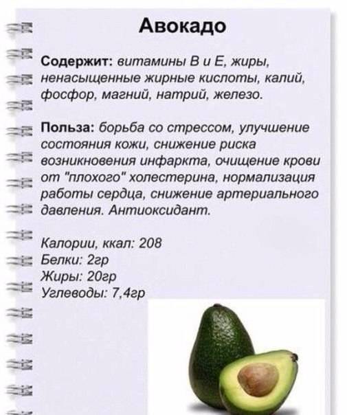 Полезные свойства авокадо: 8 научных аргументов :: здоровье :: рбк стиль