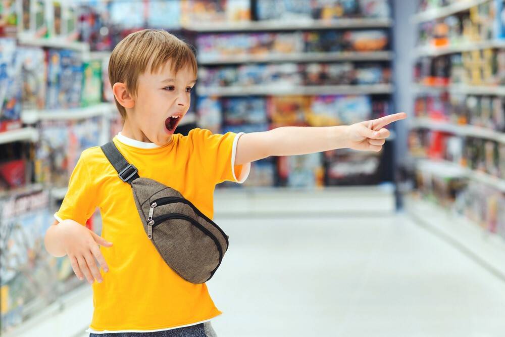 Что делать, если ребенок постоянно просит новые игрушки ( и как реагировать на истерику в магазине в случае отказа)