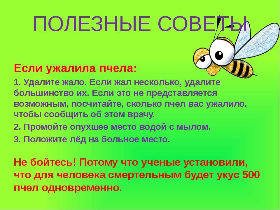 Осу помощь. Первая помощь при укусах насекомых для детей. Памятка при укусах насекомых. Памятка при укусе пчелы.