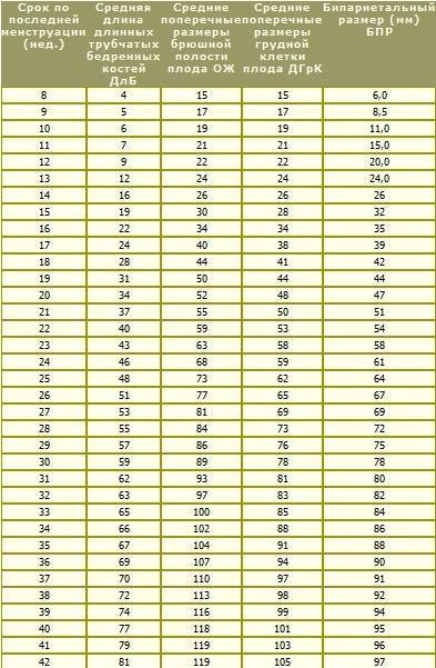 Бпр плода по неделям: таблица нормы, соотношение лзр с бипариетальным размером головки, почему показатель не соответствует сроку