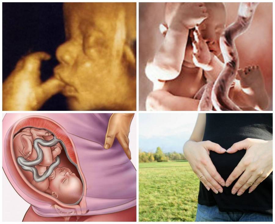 35 неделя беременности: что происходит с плодом и что чувствует женщина