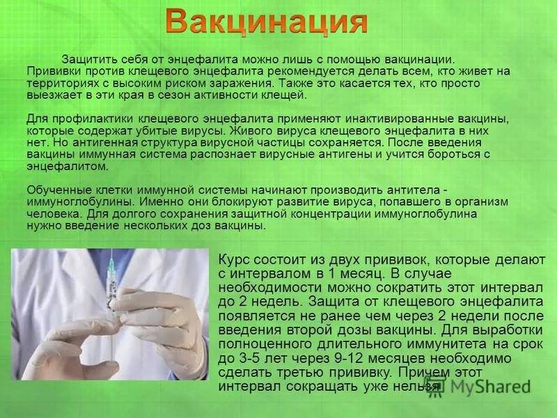 Прививка от клещевого энцефалита - цены в клинике семейный доктор, москва.