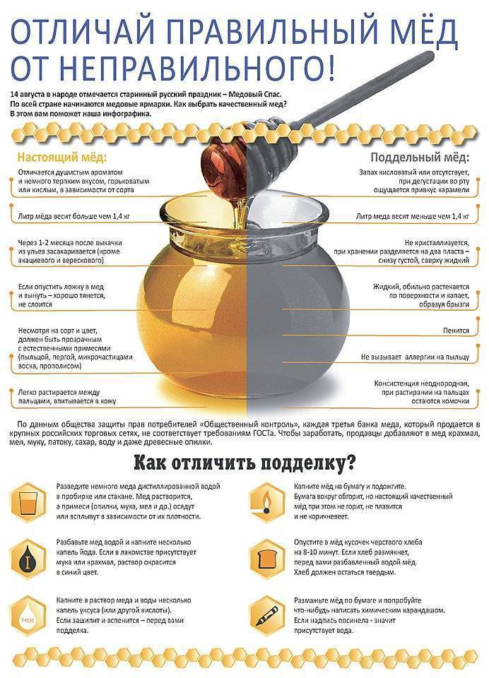 Как выбрать настоящий мёд