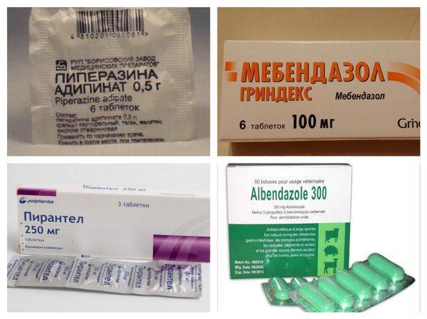 Лучшие антигельминтные препараты - паразитология - статьи - поиск лекарств
