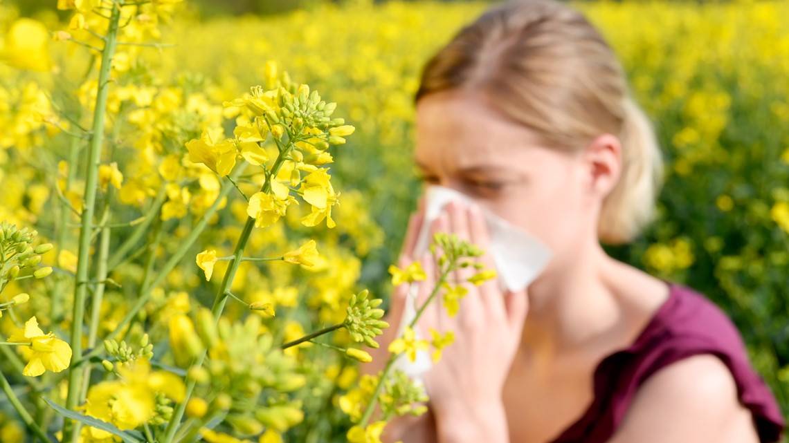 Аллергия на пыльцу - симптомы, причины, профилактика и лечение