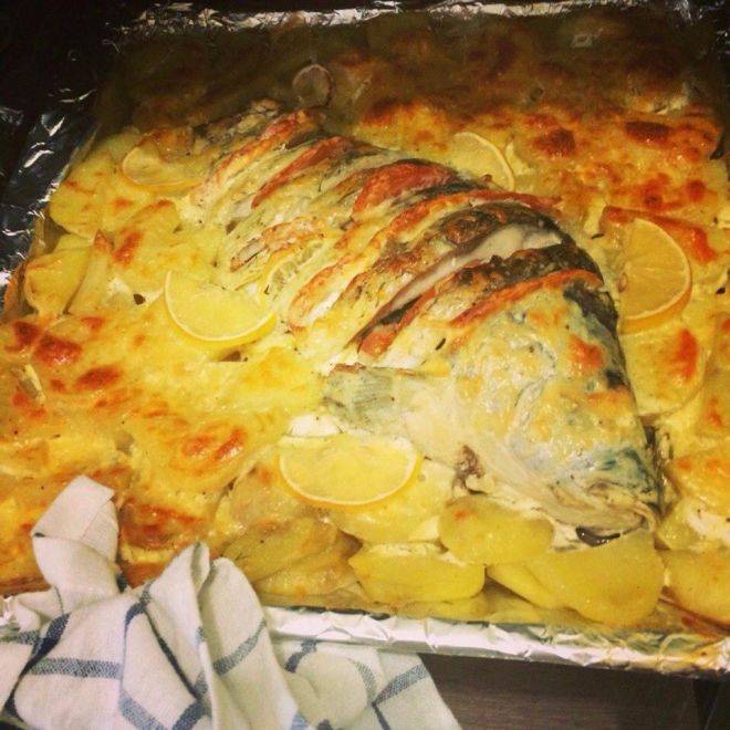 Рыба как в садике — рецепты пошагово c фото для приготовления дома:с овощами, подливой, по-польски, горбуша с овощами, на молоке. | жл