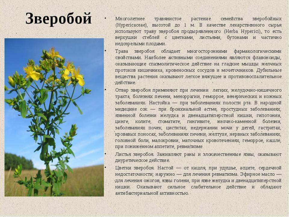 Топ-13 препаратов от аллергии (антигистаминных) - рейтинг хороших средств 2021