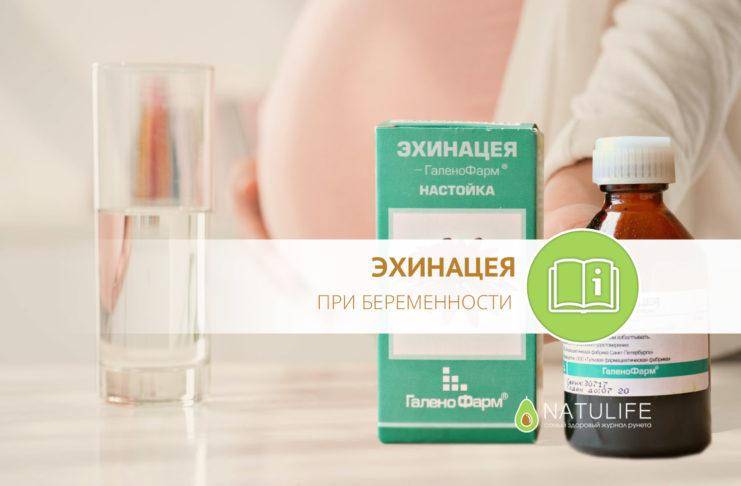 Топ-11 пребиотиков для кишечника - рейтинг хороших средств 2020