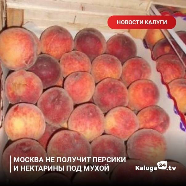 Можно ли кормящей маме кушать персики и нектарины: вред и польза фруктов при грудном вскармливании - врач 24/7