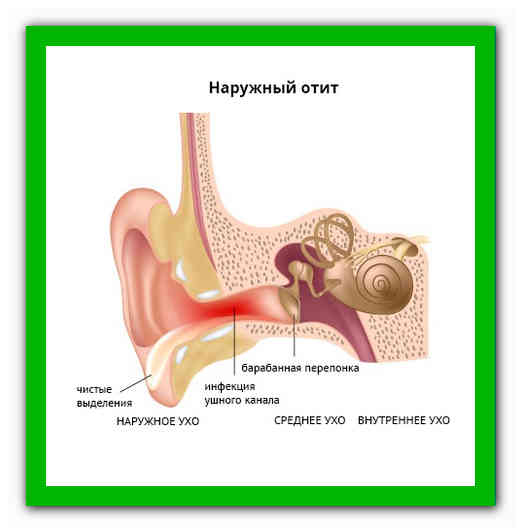 Чем лечить ухо у взрослого