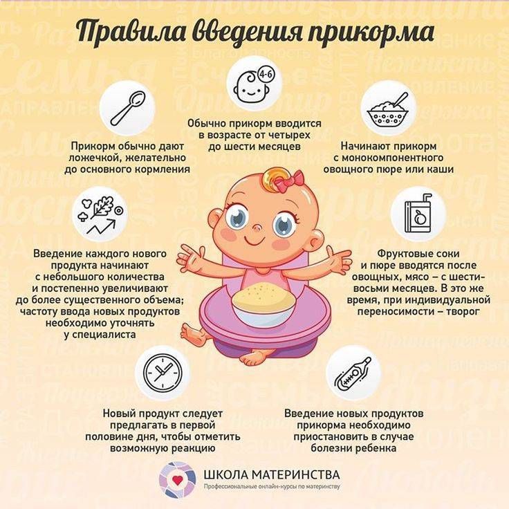 Что должен уметь ребёнок в 6 месяцев: полный перечень навыков младенца