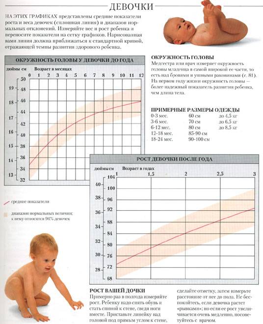 Этапы развития новорожденного ребенка на первом году жизни по неделям