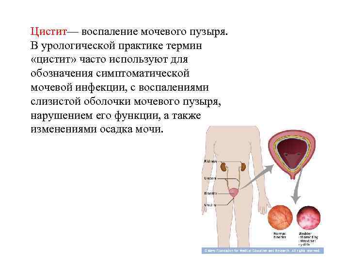 Дефицит внимания у детей: лечение, чем обусловлен синдром гиперактивности у ребенка, причины и симптомы сдвг