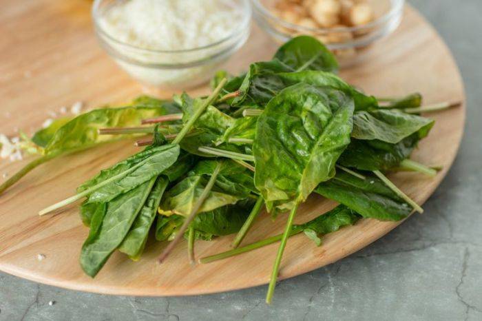 Щавель: лечебные свойства и противопоказания | food and health