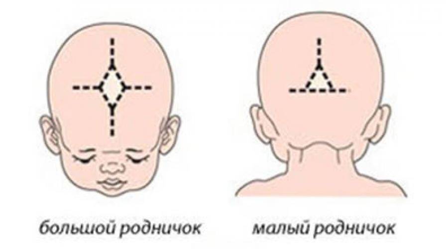 У грудничка пульсирует родничок: нормы и отклонения в 2, 3, 4, 5, 6, 7, 8 месяцев / mama66.ru