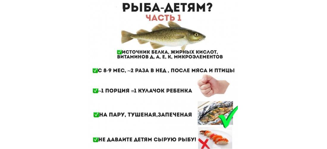 С какой рыбы начинать прикорм ребенку и когда, симптомы аллергии у грудничка + фото и видео