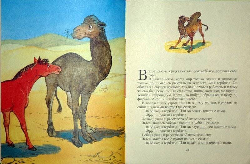 Зачем верблюду горб. как объяснить ребенку 3-5 лет зачем верблюду горбы | интересные факты