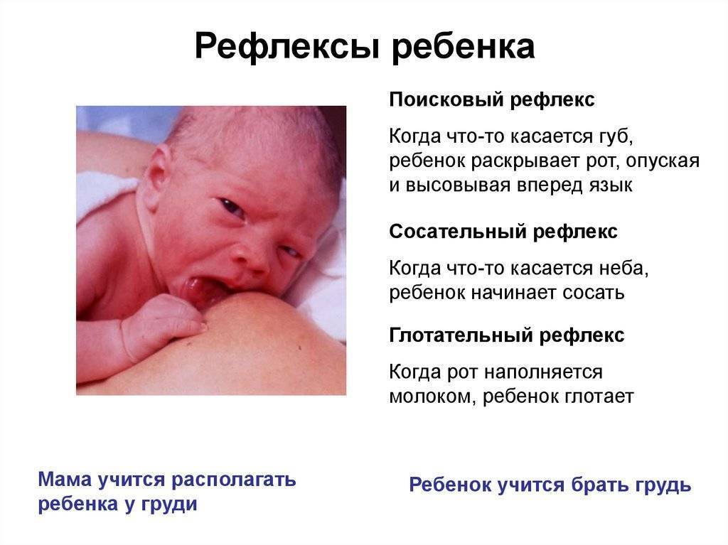 Отсутствие сосательного рефлекса у новорожденного лечение
