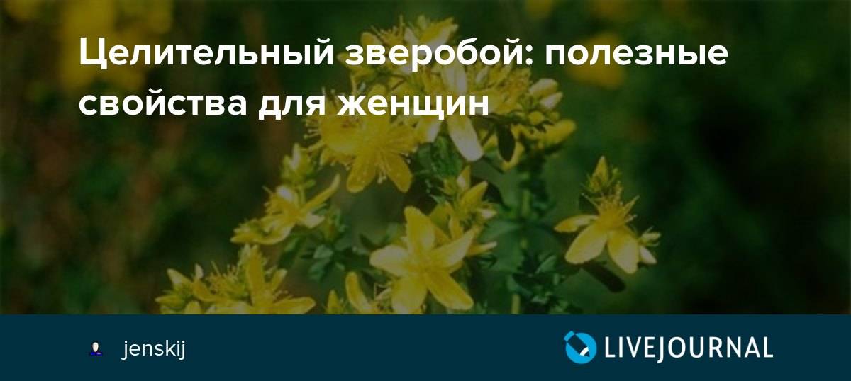 Как выбрать пробиотики для кишечника: список препаратов