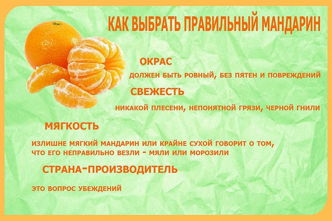 Как и сколько хранить мандарины в домашних условиях — selok.info
