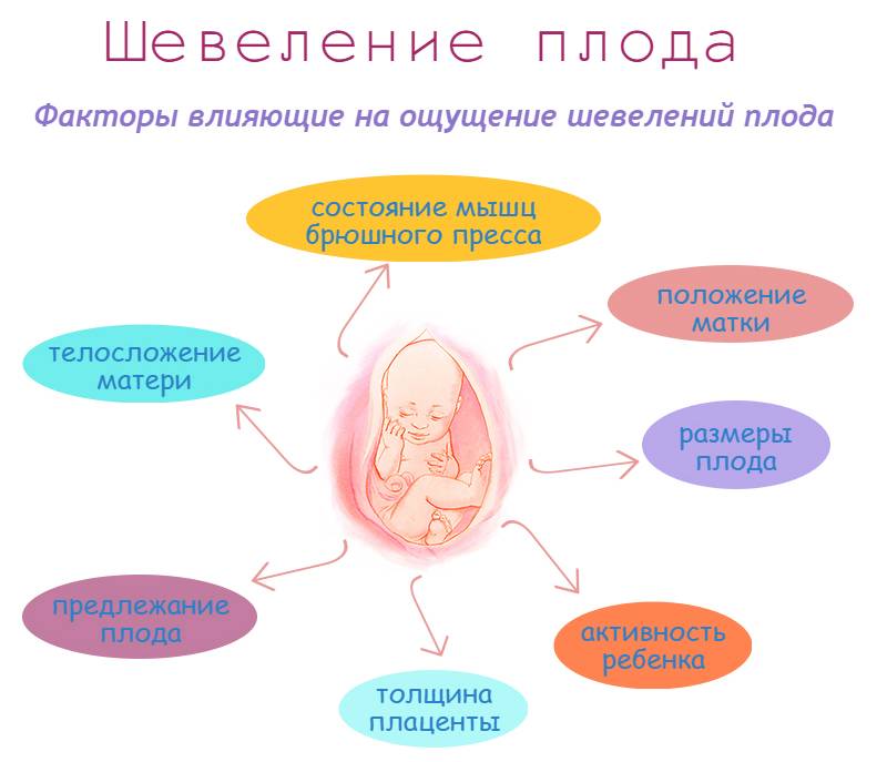 Во сколько недель (когда) начинает шевелиться ребенок, на каком сроке беременности
