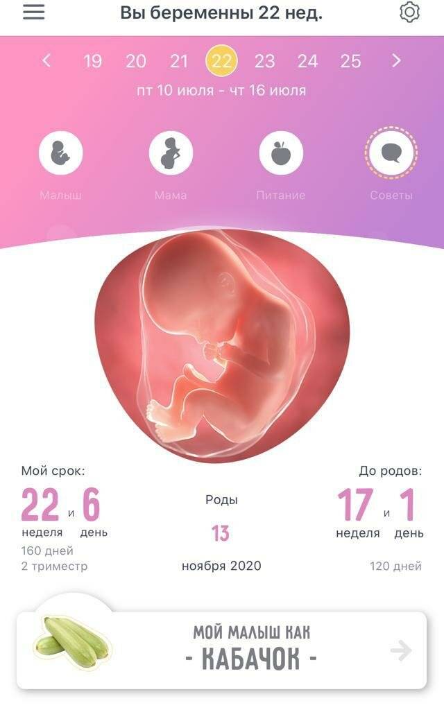 21 неделя беременности (2-й триместр) – мама и малыш