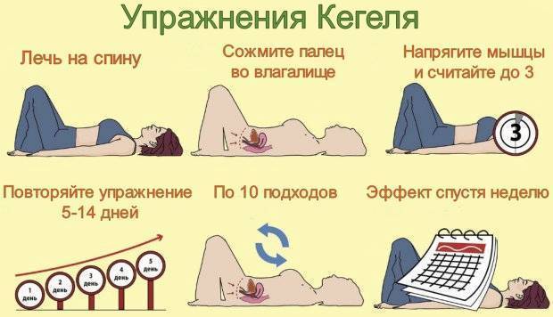 Упражнения кегеля для беременных женщин: правила выполнения в 1, 2 и 3 триместре беременности, эффективность гимнастики