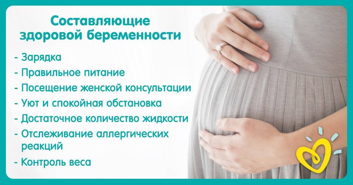 Второй и третий триместры: инструкция для будущей мамы - parents.ru