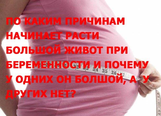 Грудь при беременности: увеличение, изменение груди на разных сроках