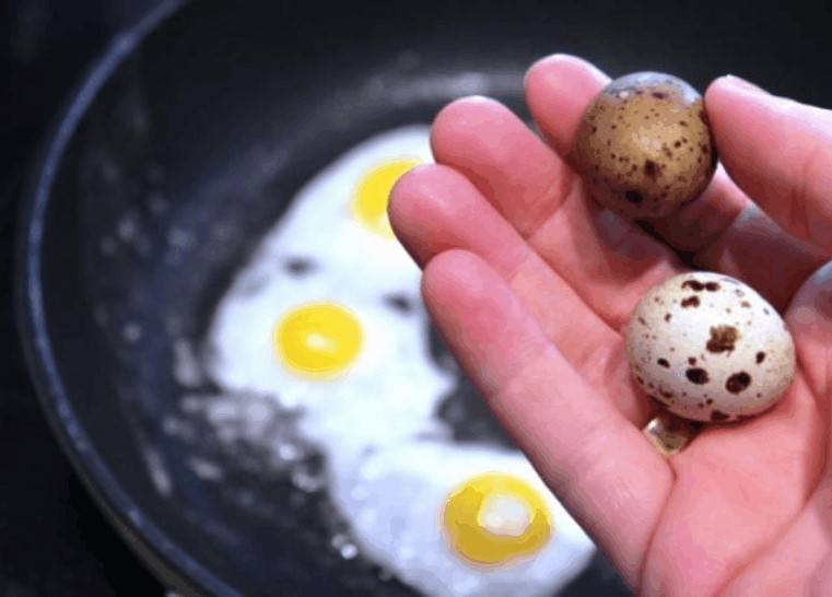Перепелиные яйца: польза для детей, с какого возраста можно давать ребенку